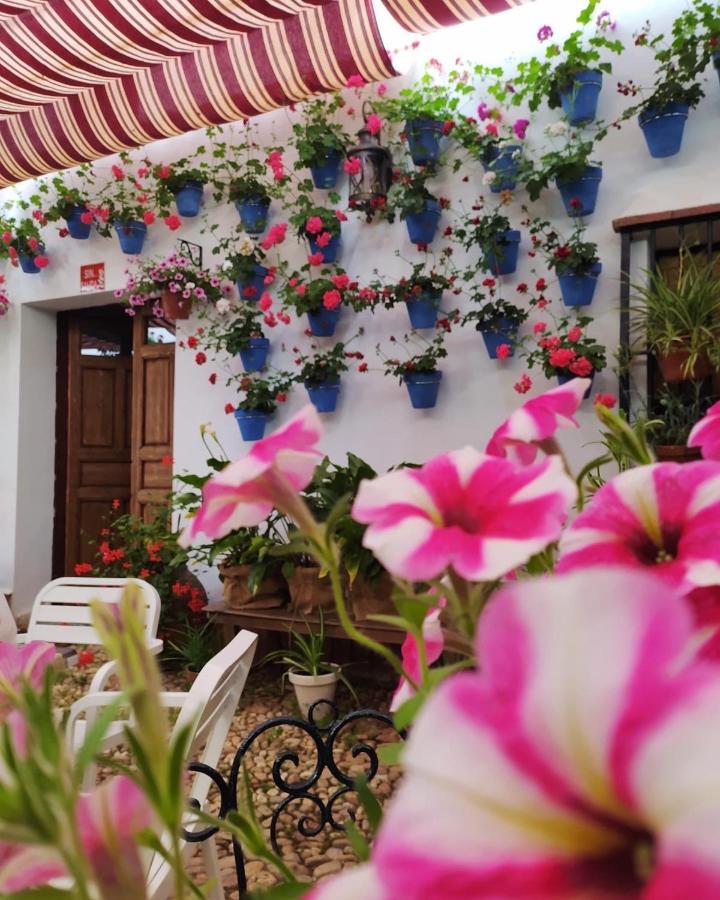 Casa Rural "Laplaza23" Herrera del Duque Ngoại thất bức ảnh