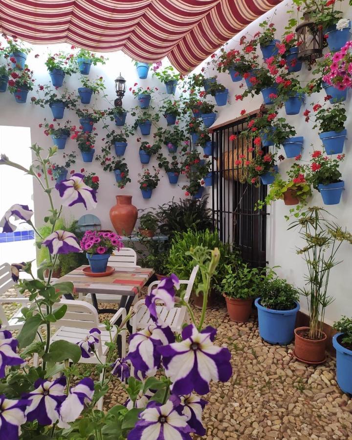 Casa Rural "Laplaza23" Herrera del Duque Ngoại thất bức ảnh